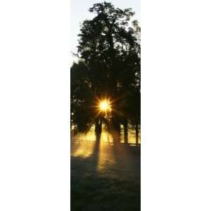  Sunbeam Radiating Through Trees, Woodford County, Kentucky 