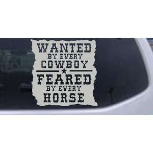 Silver 10in X 10.0in    Wanted By Cowboys Feared By Horses Western Car 