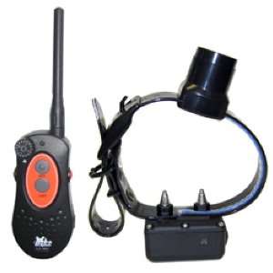  D.T. Systems H2O 1850 Remote Dog Trainer