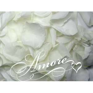 1 lb Wedding Freeze Dried Rose Petals White 2000 Petals/80 Cups 
