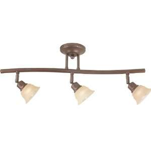 15 Track Light Lighting Collection Three Light Directional Track 