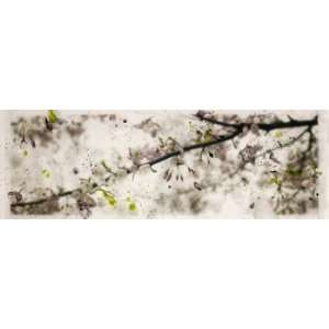 Swinging Buds (Cherry Blossom Series), Original Mixed Media Artwork 