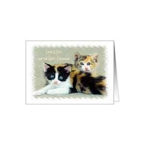  Funny Faced Kittens Love A Cat Humor Calico Kittens Card 
