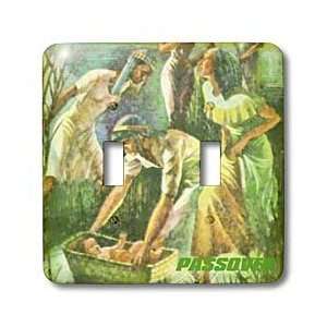   Scene   Light Switch Covers   double toggle switch