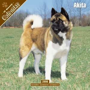  2008 Akita 2008 16 Month Wall Calendar **IN STOCK NOW 