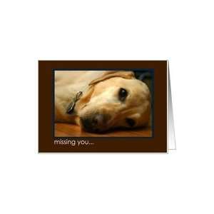  Missing You and Wishing You Were By My Side yellow lab 