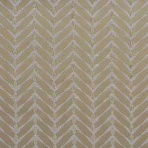  Zebrano 101 by Groundworks Fabric