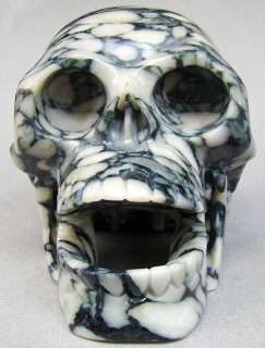 GIANT 8.5LB/7.5 Marble Skull/Skeleton Sculpture #0273  
