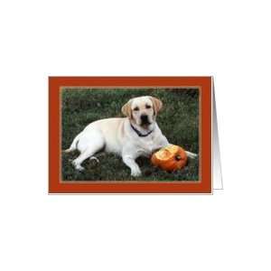  Thanksgiving for Friend, Yellow Lab Dog Pumpkin Card 