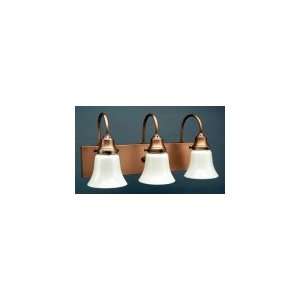  Northeast Lantern 4931 AB MED3 38W 3 Light Wall Sconce in 