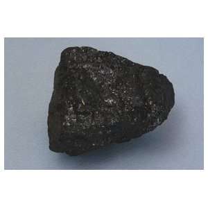   Individual Rock Specimens Sedimentary; Coal, bituminous; Qty. 0.5kg