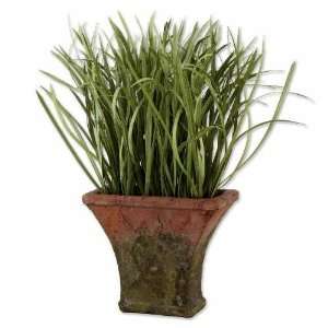  UT60025   Ornamental Grass in Terra Cotta Planter Kitchen 