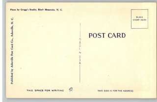 Linen Postcard~Mitchell FallsWestern North Carolina  