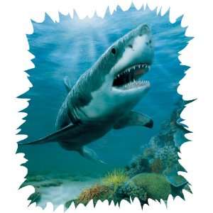 Brewster Gravity 258 75020M Pre Cut and Pre Pasted Non Woven Shark 