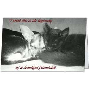 Friendship Love Keep In Touch Best Friend Cat Greeting Card (5x7) by 
