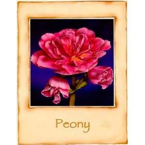  Peony   Poster by Richard Penn (19.75 x 27.5)