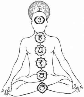  positions and functions of the chakras, and of the various organs of