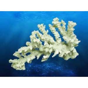  Coral Replica   Branch Coral 9x3.5x5 