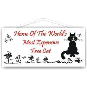  Home of the worlds most expensive free cat Everything 