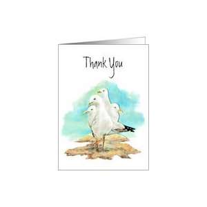  Thank You, Group of Seagulls, Watercolor Birds Card 