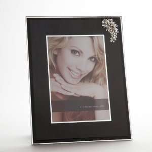  4x6 BLAKE FRAME W BRANCH JEWEL Electronics