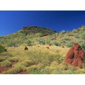  Mount Bruce and Termite Mounds, Karijini National Park 