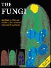   Fungi, (0127384464), Michael J. Carlile, Textbooks   