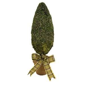Arteflorum Mossed Cone Topiary Small With Plaid BowMosc15  