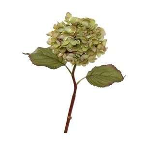  Hydrangea   17 (Case of 24)   HOT SELLER Arts, Crafts & Sewing
