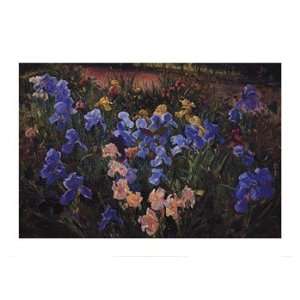    Iris Bed   Poster by Timothy Easton (31x22)