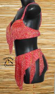 Egyptian Belly Dance/ Dancing Costume/ Bra&Belt/PK Sets  