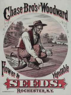  REPRODUCTION PRINT OF CHASE BROTHERS AND WOODWARD SEED COMPANY 