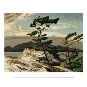 A.J. Casson   White Pine Canvas