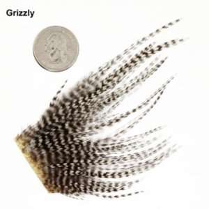  White River Fly Shop Dry Fly Hackle Mini Packs   Size 12 
