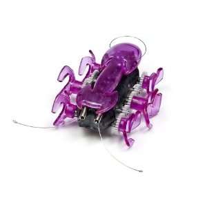  HEXBUG Ant   Pink Toys & Games
