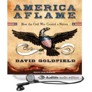  America Aflame How the Civil War Created a Nation 