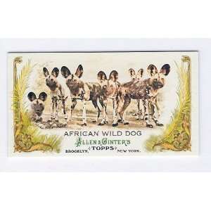 2011 Topps Allen & Ginter Mini Animals in Peril #13 African Wild Dog 