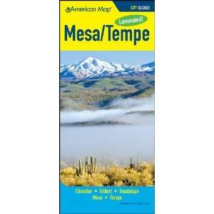   Map 610828 Mesa And Tempe Arizona City Slicker Map