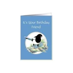  Friend Birthday, Magpie, Bird Collection Card Health 
