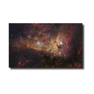  The Eta Carinae Nebula Giclee Print