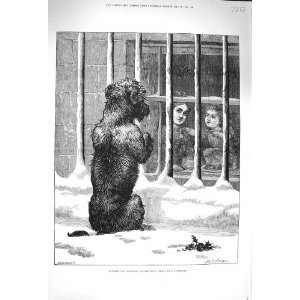  1875 Stray Dog House Window Children Dollman Greenaway 