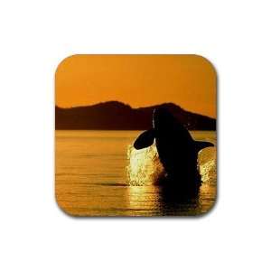  Whale Rubber Square Coaster set (4 pack) Great Gift Idea 