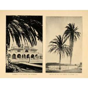  1906 Womens Club House Los Angeles Palm Trees San Diego 