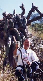 San Pedro cactus relative, Supersize wild Andes torches  