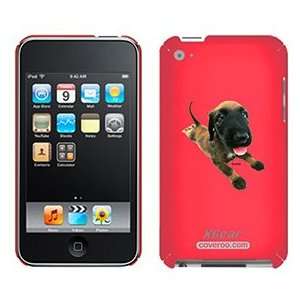  Afghan Hound Puppy on iPod Touch 4G XGear Shell Case 