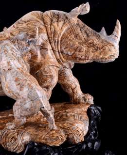 22 Picture Jasper rhinoceros Sculpture/Carving #Q38  