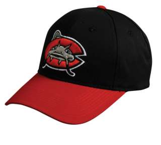 Minor League MILB Officially Licensed Baseball Cap/Hats  