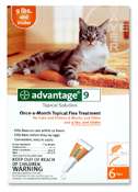 Advantage Cat Orange 0 9lbs, 6 month  