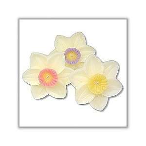  Daffodil Floating Candles   2 dia.   (Set of 3)