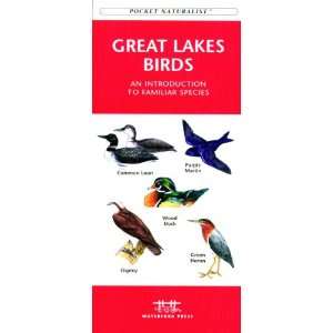  Waterford Great Lakes Birds Patio, Lawn & Garden